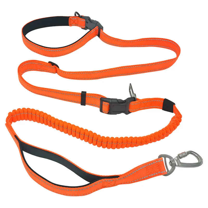 Hands-Free Bungee Dog Leash 6-in-1 – Adjustable Waist Lead