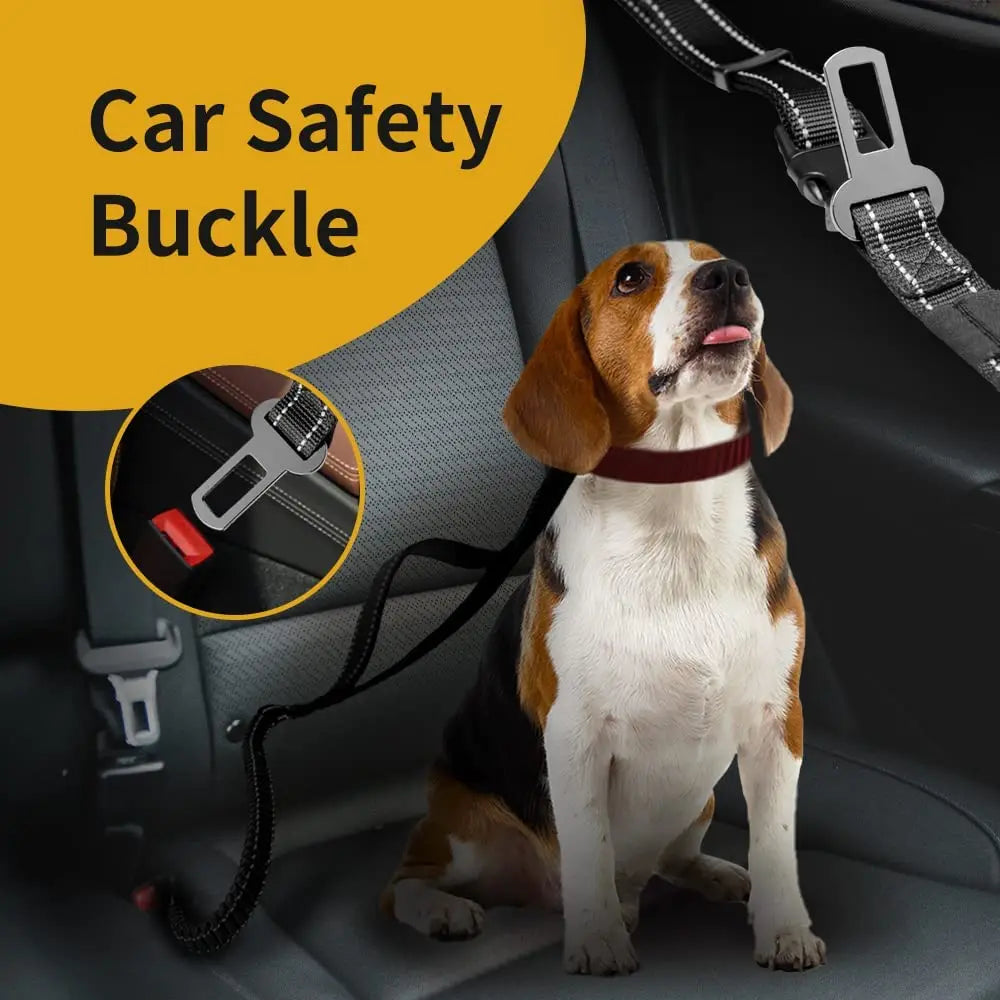 Hands-Free Bungee Dog Leash 6-in-1 – Adjustable Waist Lead