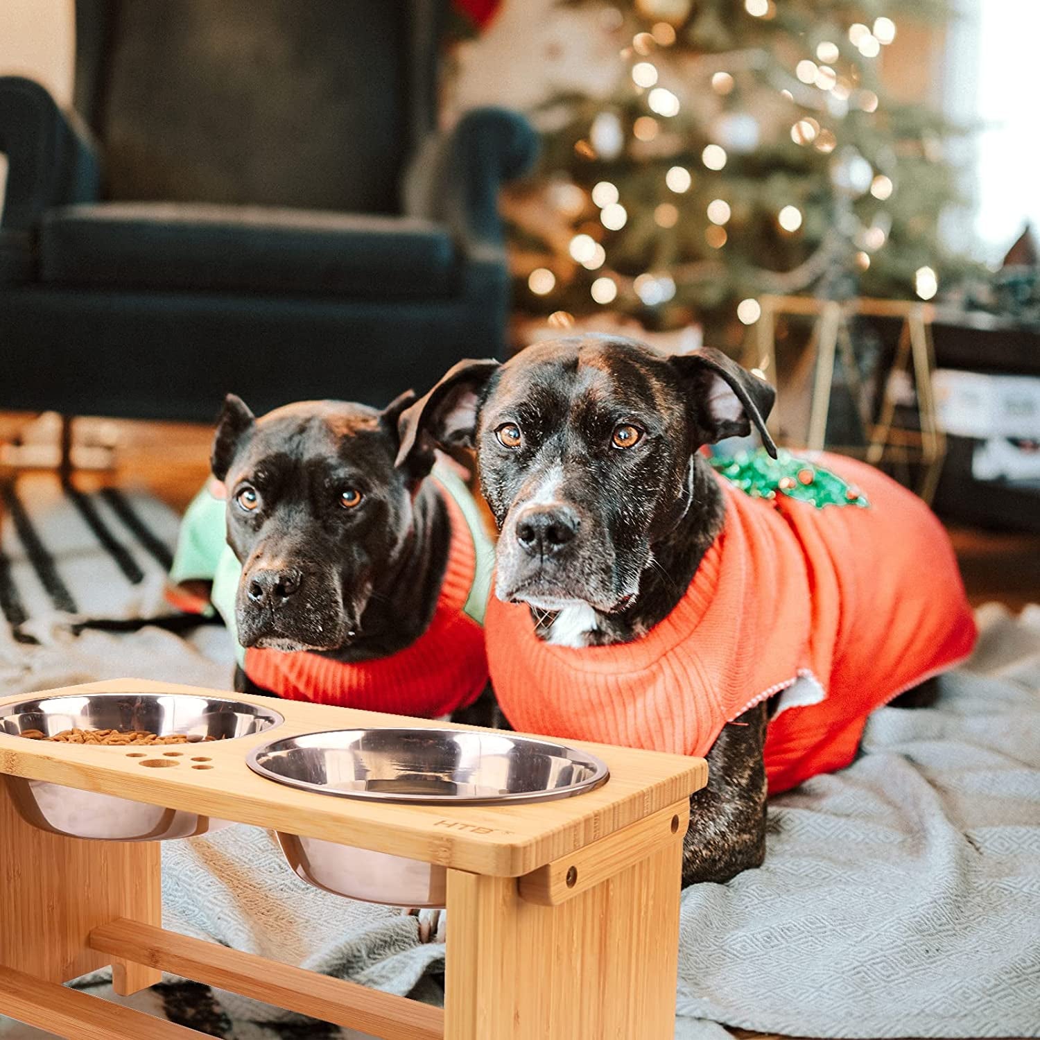 Elevate Your Dog's Dining Experience with Our Stylish Raised Dog Bowl Stand - Perfect for Medium to Large Breeds!