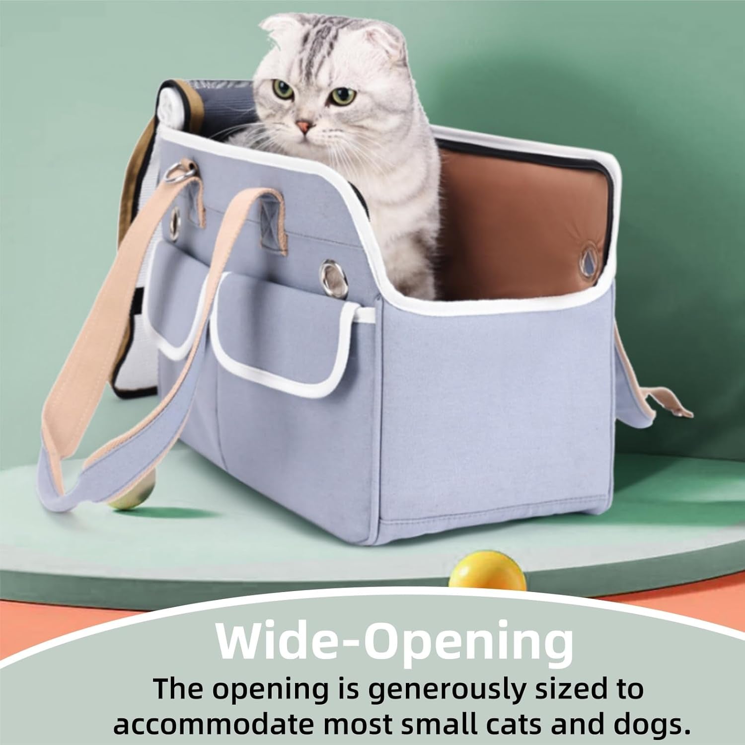 Collapsible Soft-Sided Pet Carrier – Airline Approved Travel Bag (Up to 12 lbs)