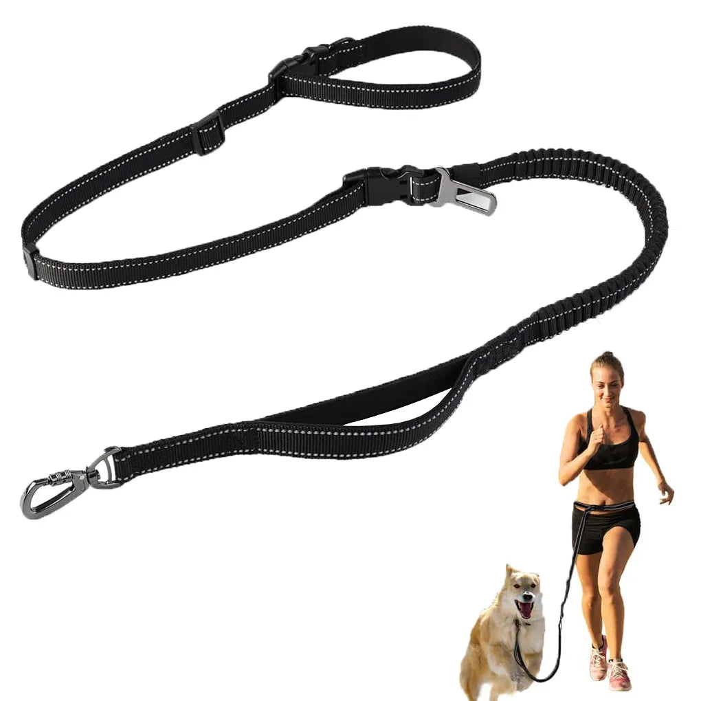 Hands-Free Bungee Dog Leash 6-in-1 – Adjustable Waist Lead